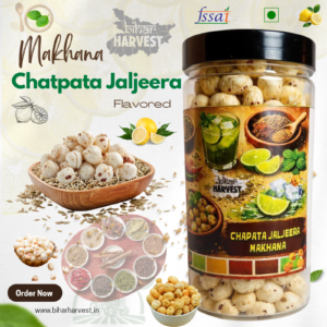 Makhana Chatpata Jaljeera (70 gm)